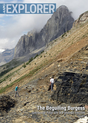 Download December 2015 PDF