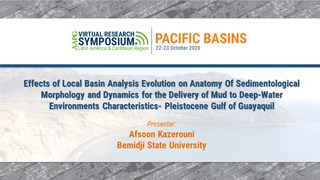 Effects of Local Basin Analysis Evolution on Anatomy Of Sedimentological Morphology and Dynamics for the Delivery of Mud to Deep-Water Environments Characteristics- Pleistocene Gulf of Guayaquil