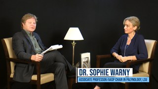 Digging Deeper with Sophie Warny