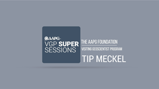 Visiting Geoscientist Super Sessions - Tip Meckel