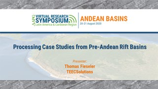 Processing Case Studies from Pre-Andean Rift Basins