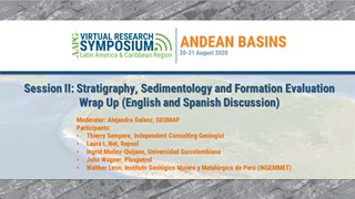 Andes Basin Research Symposium Panel Discussion: Stratigraphy, Sedimentology and Formation Evaluation (English and Spanish Discussion)
