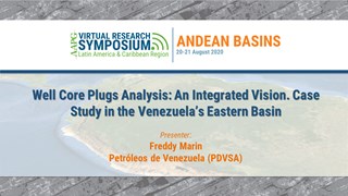 Well Core Plugs Analysis: An Integrated Vision. Case Study in the Venezuela's Eastern Basin