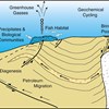 AAPG Explorer Article