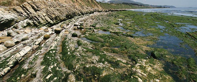 AAPG Explorer November 2010