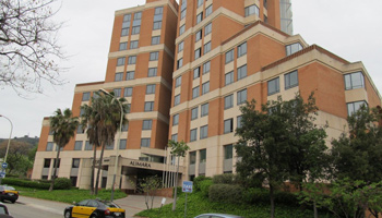 Structural Styles and Hydrocarbon Prospectivity in Fold Thrust Belt Settings: A Global Perspective