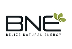Belize Natural Energy Ltd