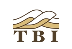 TBI